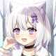 Avatar for Xin
