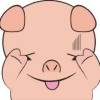 Avatar for 天乐