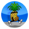 Avatar for 独行的菠萝